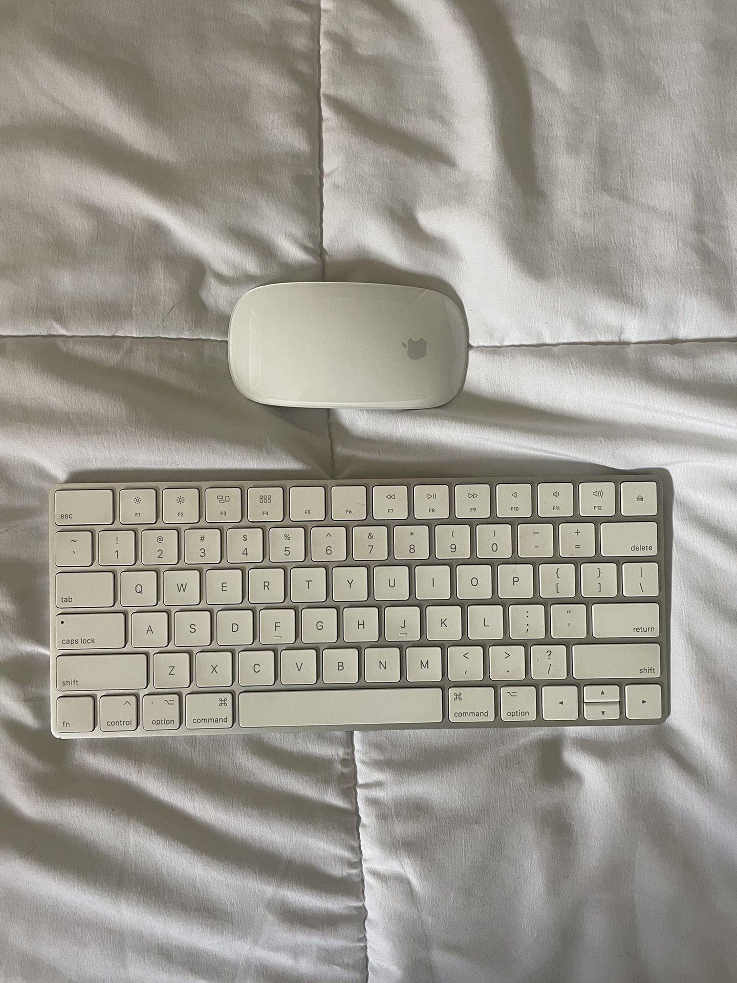 Apple Magic Mouse 2 and Magic Keyboard