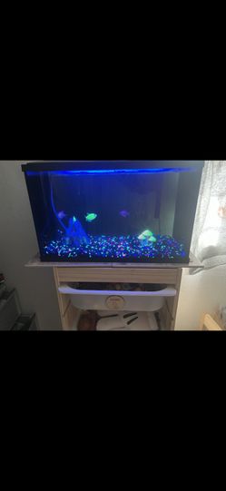Fisher Tank For Sale Everything Included
