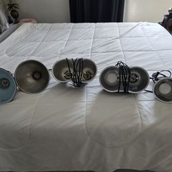 Reptile Lamps