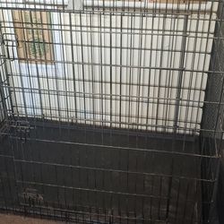 Dog Crate