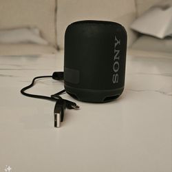 Sony Waterproof Transportable Speaker