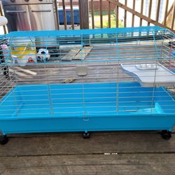 Guinea Pig Cage