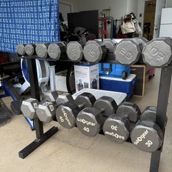 Hex weight dumbbell Set With Stand 