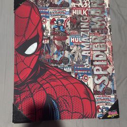 Spider-Man Canvas 