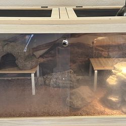 Bearded Dragon Reptile Enclosure