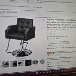 Salon Styling Chair Never Use