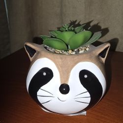 Racoon Fake Succulent Holder