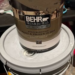 1 Gallon Ext Paint 