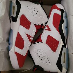 Jordan 6 Carmines Size 7