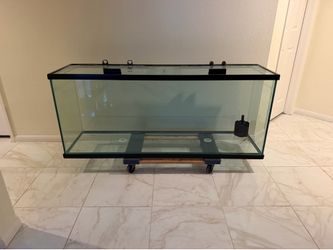 100 gallon fish tank glass aquarium