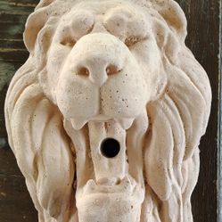 Lion Wall Art