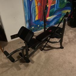 Workout Bench With Bar And Plates