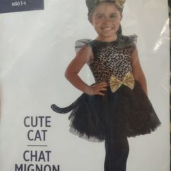 Cute Cat