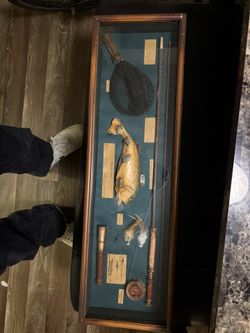 Shadow Box Rainbow Trout Fly fishing 