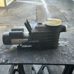 Pool Pump 2.0HP HAYWARD 