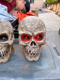 Large Halloween skulls