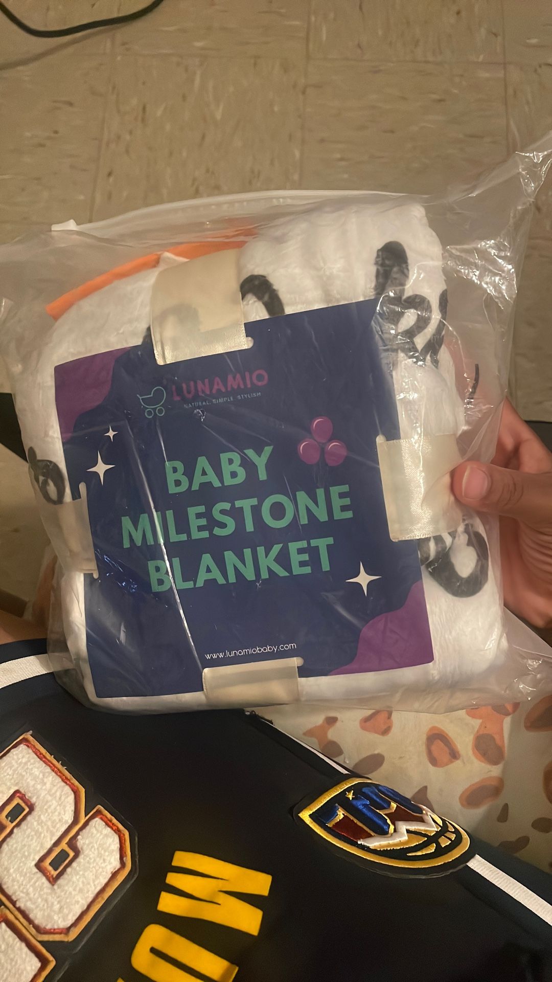Baby Milestone Blanket