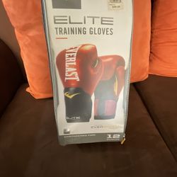 EVEREST BOXING GLOVES USED OUNCE LIKE NEW IN PERFECT CONDITION 