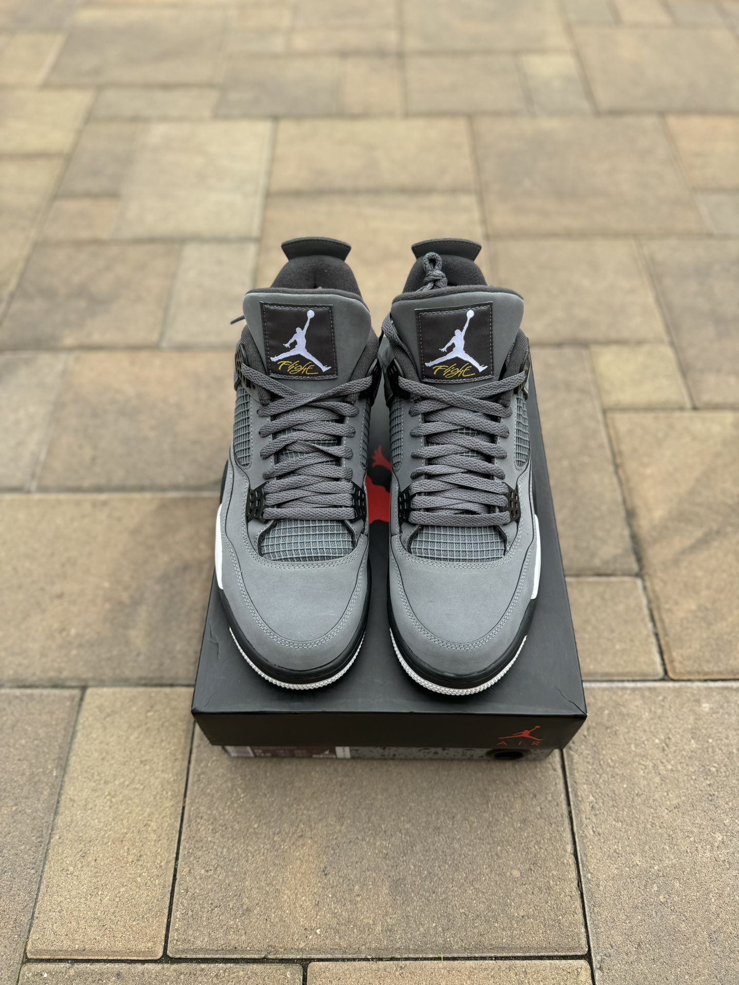 2019 Jordan 4 Cool Grey size 12