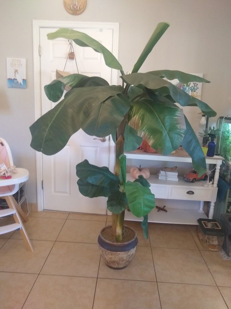 Fake Beautiful Banana Plant 