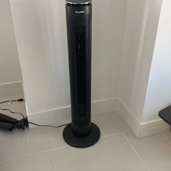 Fan