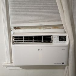 LG 10,000 BTU DUAL Inverter Smart Window Air Conditioner