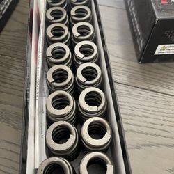 LS Lifter Springs 
