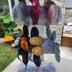 Disney Ear Display