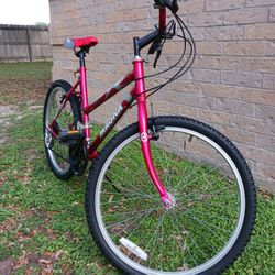 Bisicleta Rodada 24"
