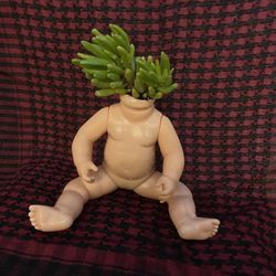 Local Artist Baby Succulent Art