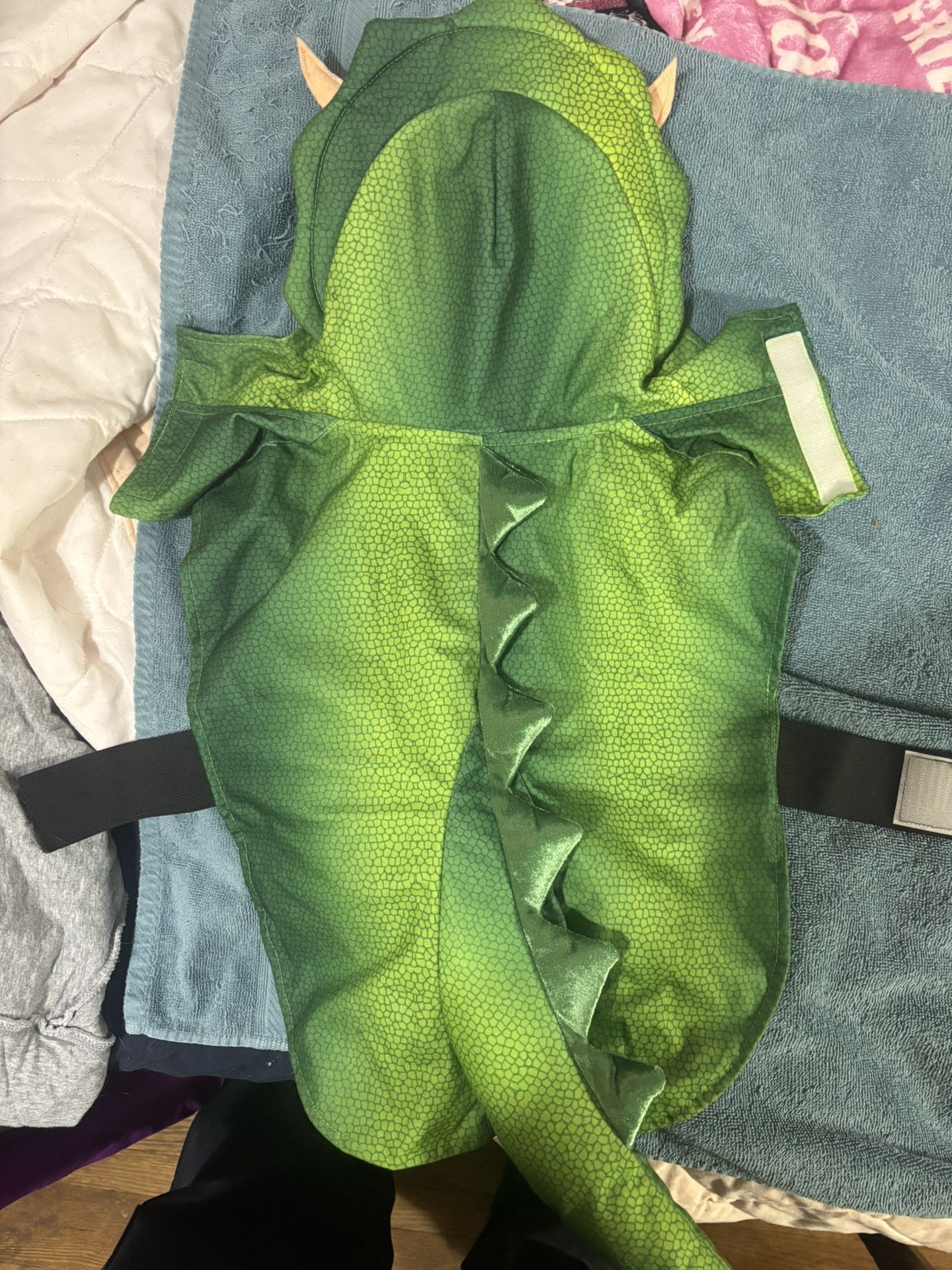 Small Dog Dragon Costume