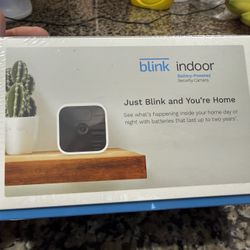 Blink indoor camera system 1 camera and 1 sinc module