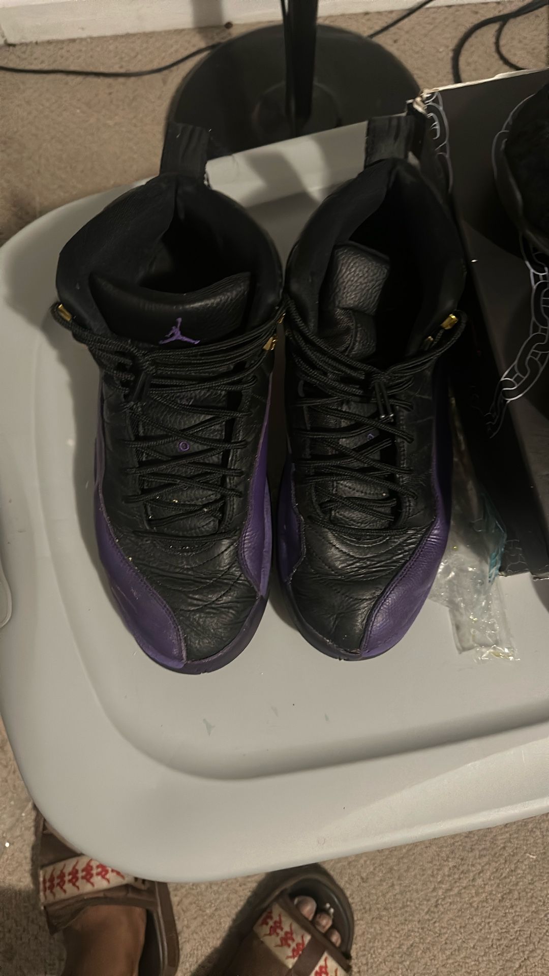 jordan 12