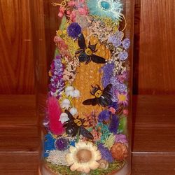 $65  Real Insect Terrarium Art 