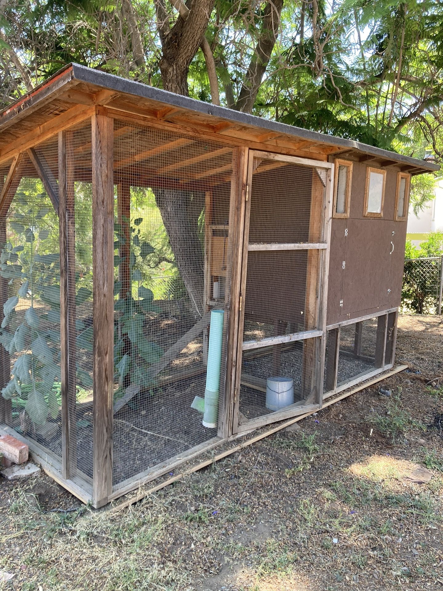 Chicken Coop