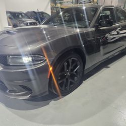 2023 Dodge Charger 😎