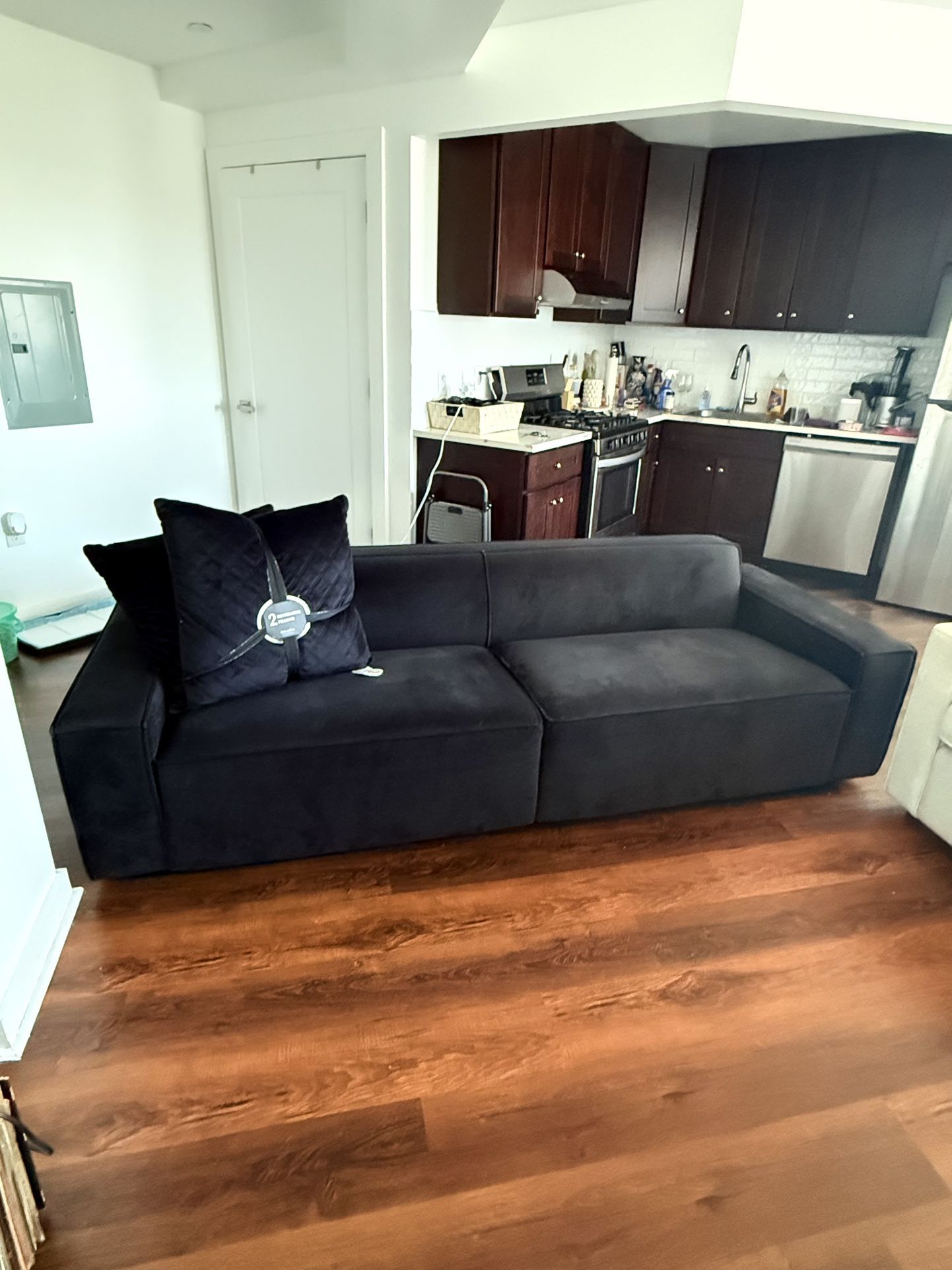 Black Velvet Couch and Throw Pillows