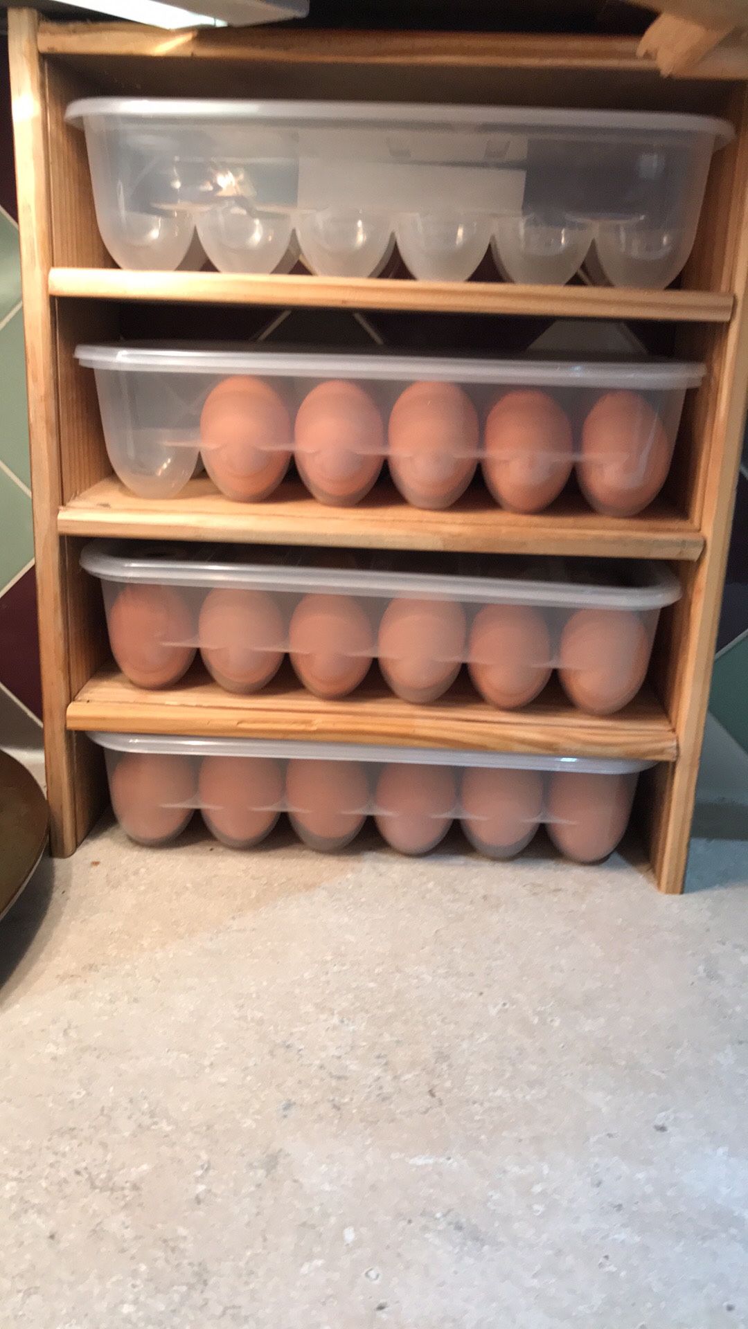Plastic Egg Cartons
