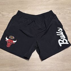 Size Large - Mitchell and Ness Chicago Bulls NBA Nylon Shorts - Michael Jordan Nike Sports New Era
