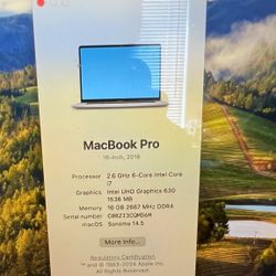 2019 MacBook Pro W/ Upgraded Display Card