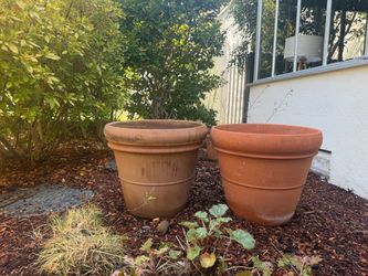 Large Terra Cotta Pots