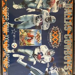 Dallas Cowboys Super Bowl XXX
