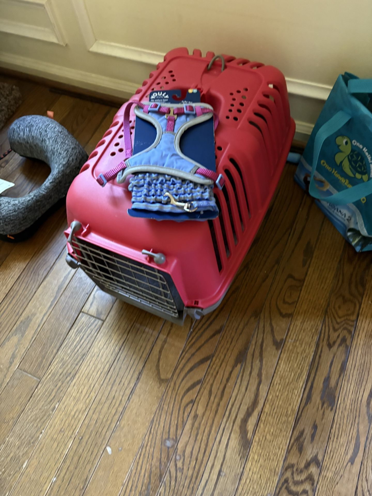 Cat Carrier With New Collar And Leash