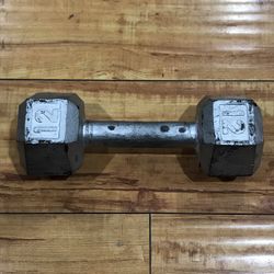 12 lbs Steel Dumbbell Weight 