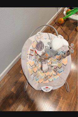 Fisher-Price Baby Bouncer
