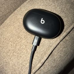 BEATS BY DRE APPLE EARBUDS