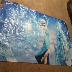 Frozen back drop