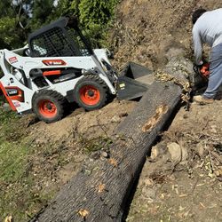 Bobcat Super 10 Services