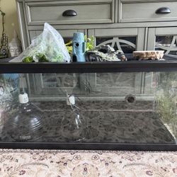 Bearded Dragon Tank & Accessories 