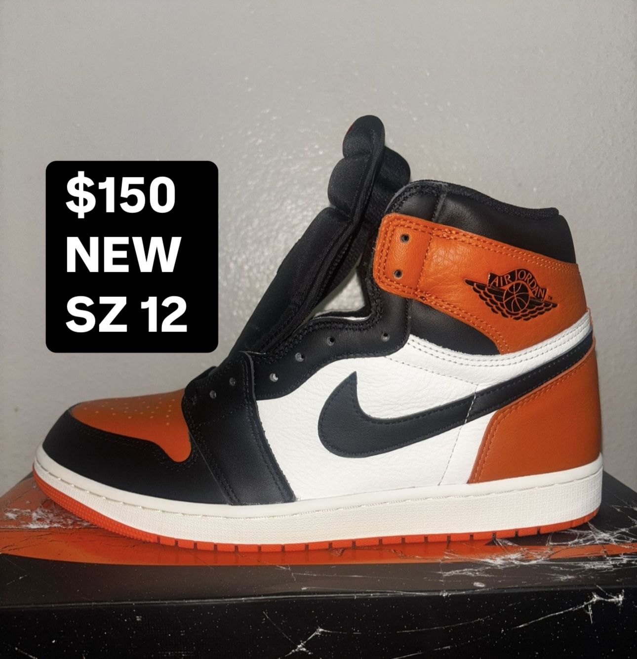 Air Jordan 1 Size 12 Shattered Backboard 